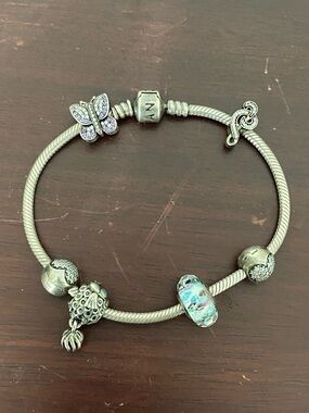 Pandora Silver Charm Bracelet